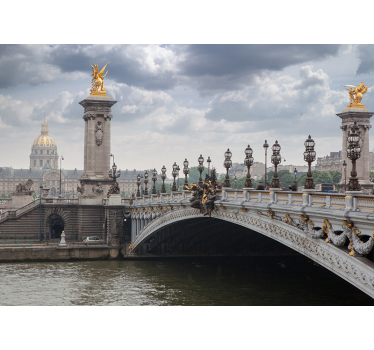 Fotomurais cidades e países vista da ponte alexandre iii - TenStickers