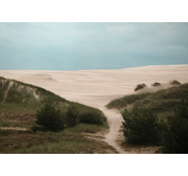 Fotomurais de paisagens caminho de areia - TenStickers