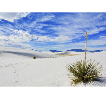 Fotomurais de paisagens vista do deserto - TenStickers