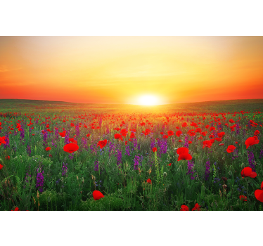 Fotomurais paisagistícos Campo de papoulas vermelhas com o sol - TenStickers