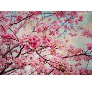 Fotomurais flores ramos de sakura - TenStickers