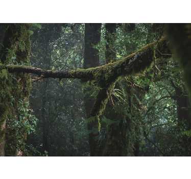 Mural de parede bosques copas verdes exuberantes - TenStickers