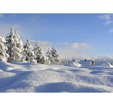 Fotomurais de paisagens cena invernosa nevada - TenStickers