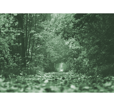 Fotomurais paisagistícos Túnel de folhas verdes - TenStickers