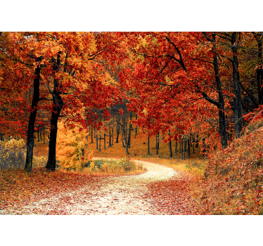 Fotomurais paisagistícos Floresta de folhas vermelhas - TenStickers