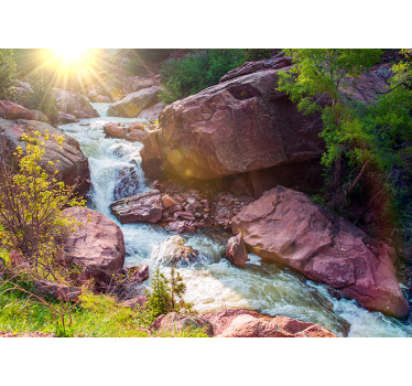 Fotomurais de paisagens riacho sereno da montanha - TenStickers