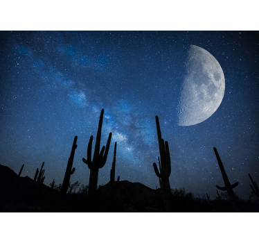 Fotomurais de paisagens céu noturno de cactos - TenStickers