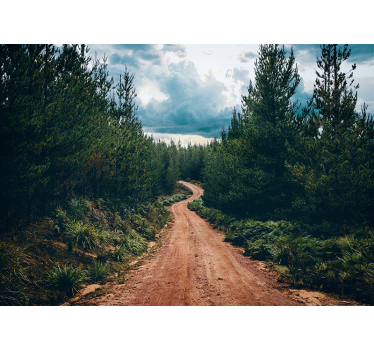 Fotomurais de paisagens caminho natural curvilíneo - TenStickers