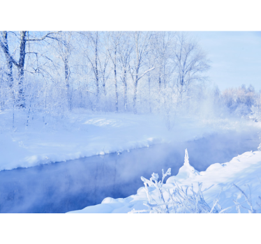 Fotomurais de paisagens serenidade inverno - TenStickers
