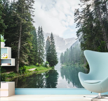 Fotomurais de paisagens eco da floresta tranquila - TenStickers