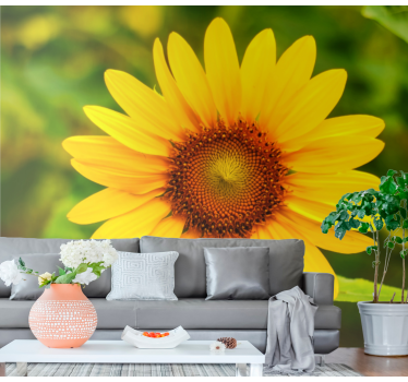 Fotomurais de Parede Uma simples flor do sol - TenStickers