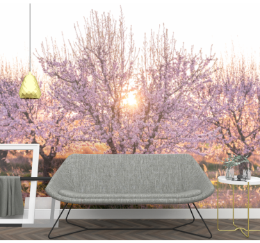 Fotomurais flores cerejeiras em flor - TenStickers