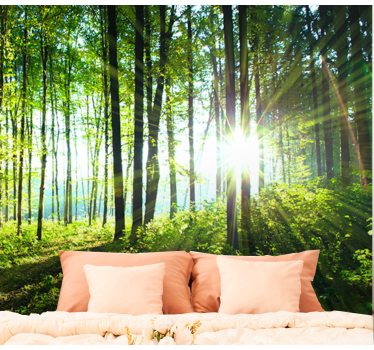 Fotomurais paisagistícos Paisagem de floresta com reflexo de luz - TenStickers