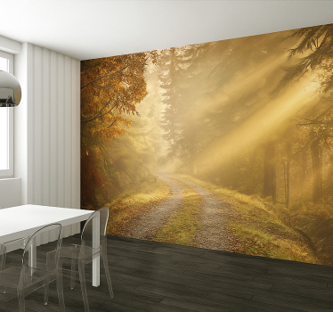 Fotomural selva floresta úmida com luz solar - TenStickers