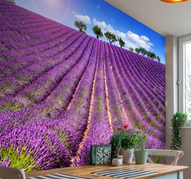 Fotomural vinílico de campo de lavanda - TenStickers