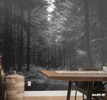 Mural de parede bosques caminho serene da floresta - TenStickers