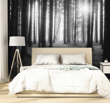Mural de parede bosques floresta encantada - TenStickers