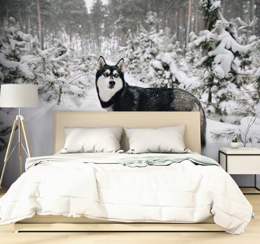 Mural de parede de florestas Husky no inverno - TenStickers