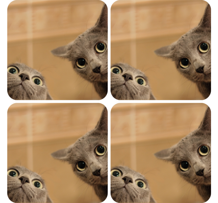 Bases para copos modernas Gatos - TenStickers