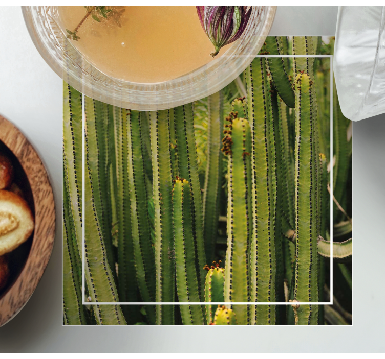 Bases para copos com textura de cacto - TenStickers