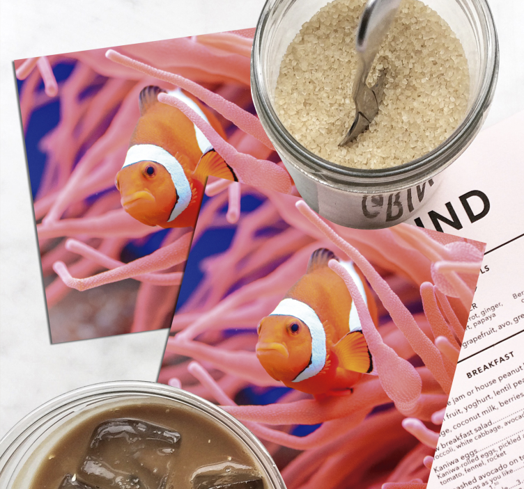 Bases para copos de peixes Peixe-palhaço - TenStickers