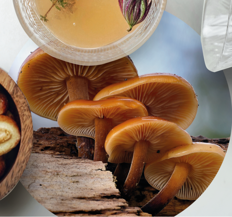 Bases para copos modernas arranjo de cogumelos - TenStickers