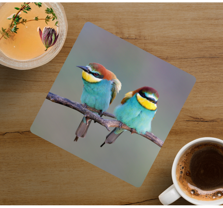 Bases para copos modernas pássaros coloridos empoleirados - TenStickers