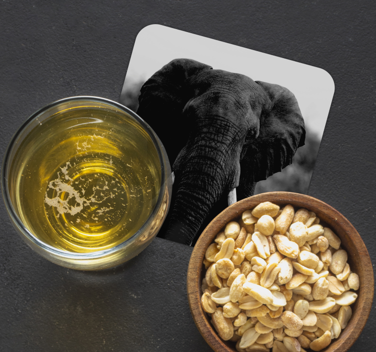 Bases para copos vintage retratos de elefante monocromáticos - TenStickers