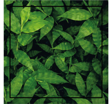 Bases para copos com padrão de folhas verdes exuberantes - TenStickers
