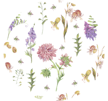 Bases para copos com detalhes florais - TenStickers