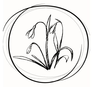 Bases para copos esboço floral elegante - TenStickers
