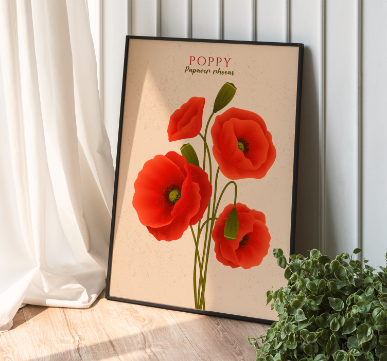 Poster de flores papoulas - TenStickers