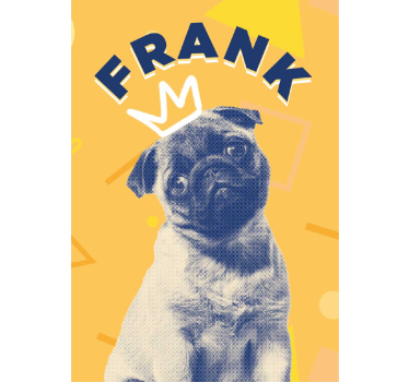 Poster animais variados arte pop personalizada - TenStickers