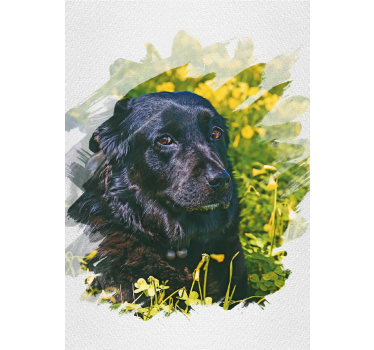 Poster animais variados aquarela personalizada - TenStickers