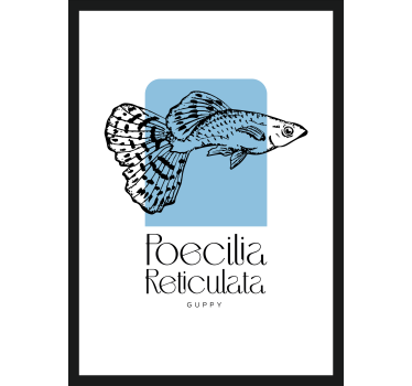 Poster decorativo de peixe guppy - TenStickers