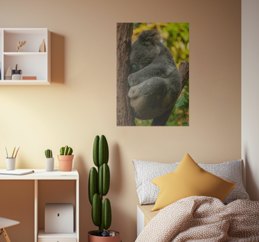 Poster juvenil koala Dormindo - TenStickers