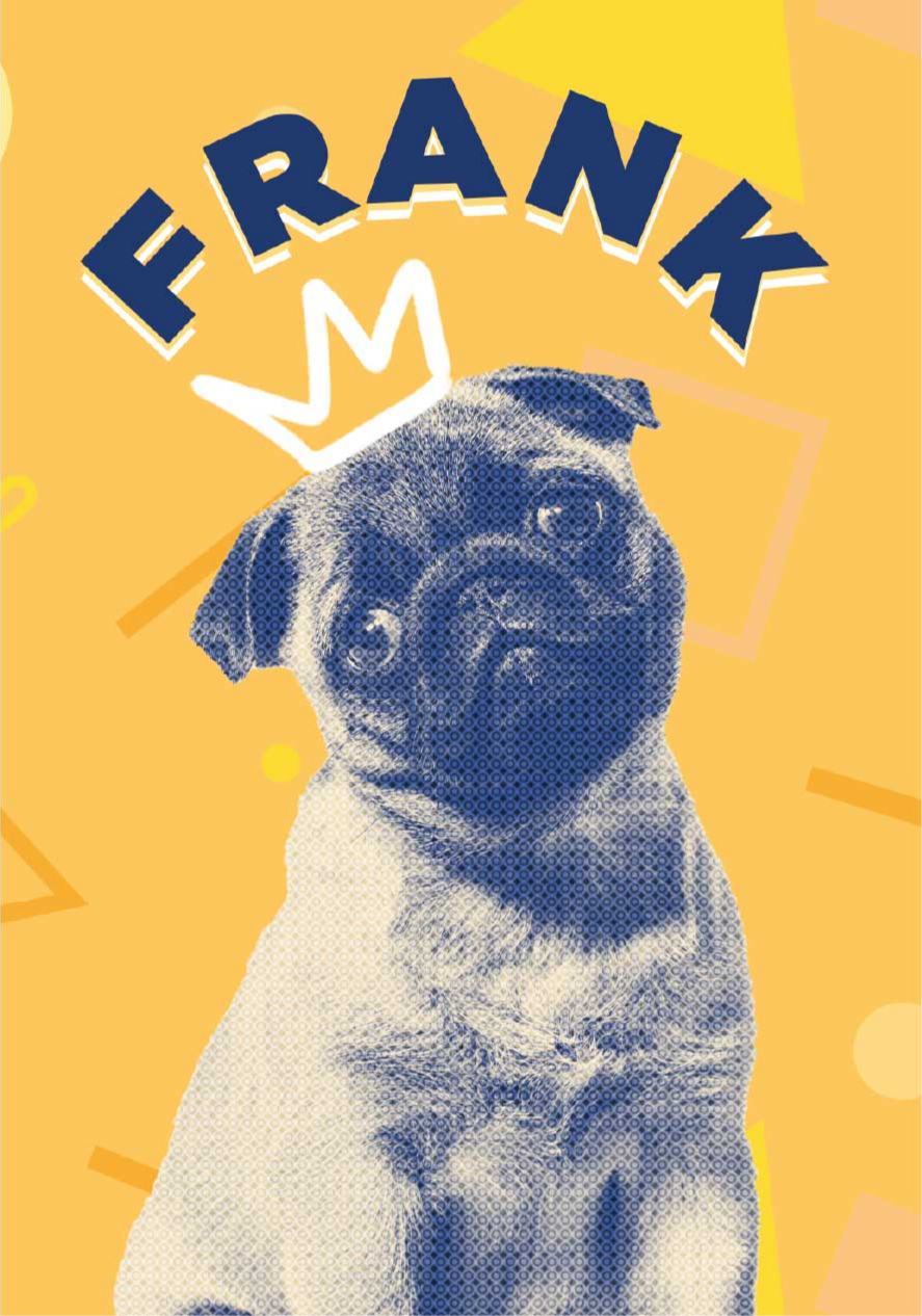 Poster animais variados arte pop personalizada - TenStickers