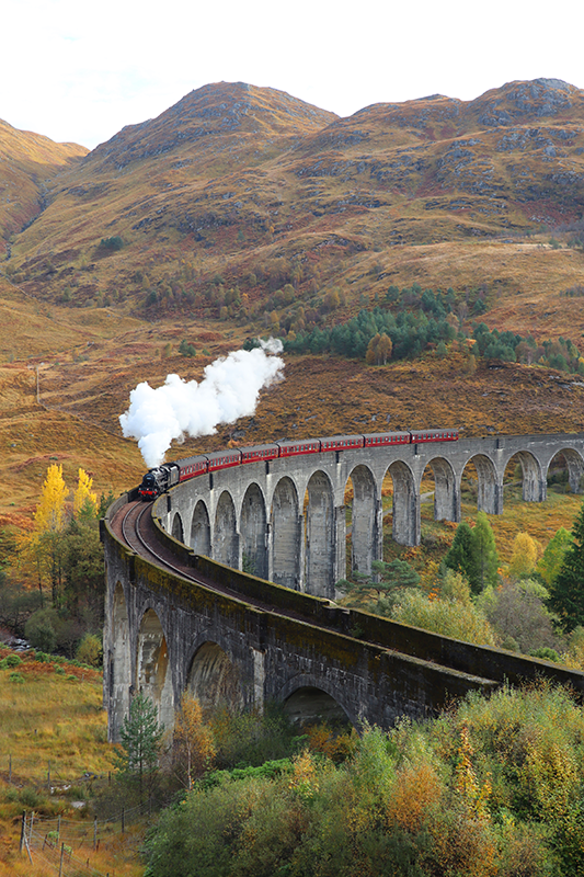 Poster foto realista trem em movimento - TenStickers