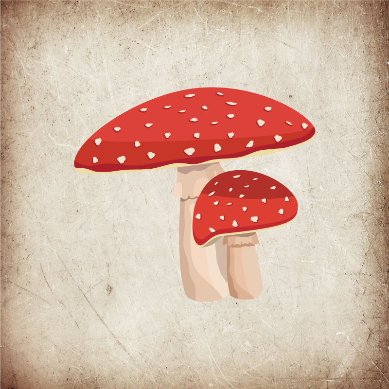 Poster cozinha ilustração de cogumelo amanita - TenStickers