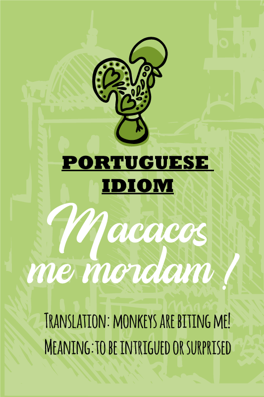 Poster cozinha tradução do ditado português surpreso - TenStickers