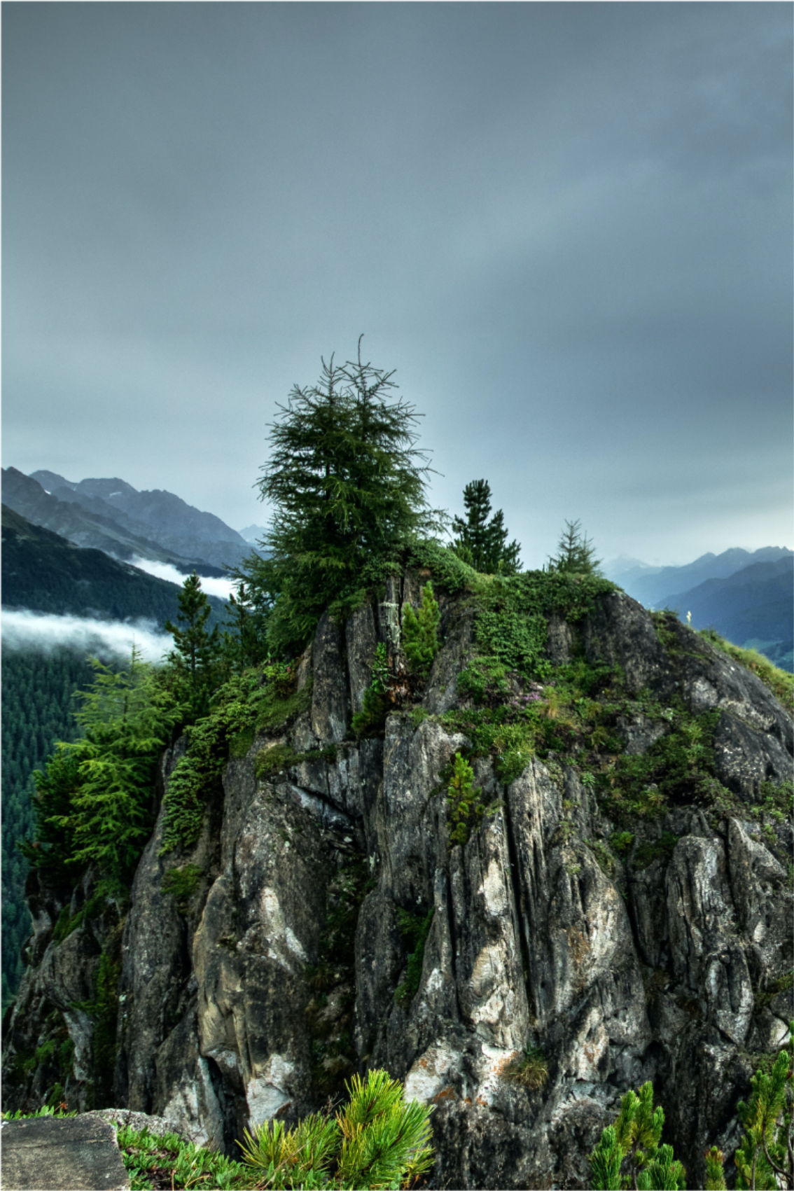 Poster para sala pedra solitária na floresta verde - TenStickers