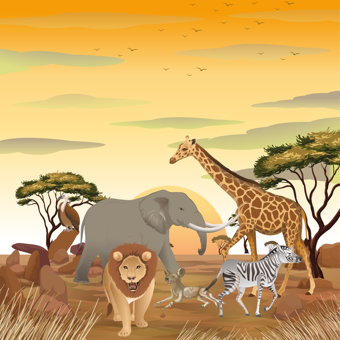 Poster infantil animais africanos com plantas - TenStickers