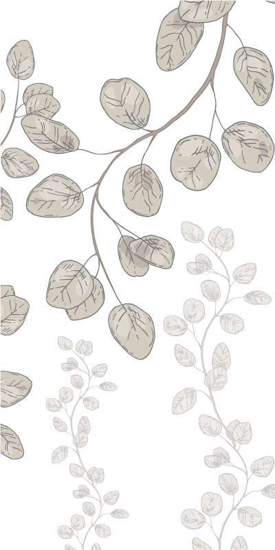 Poster de plantas folhas jovens estilo provençal - TenStickers