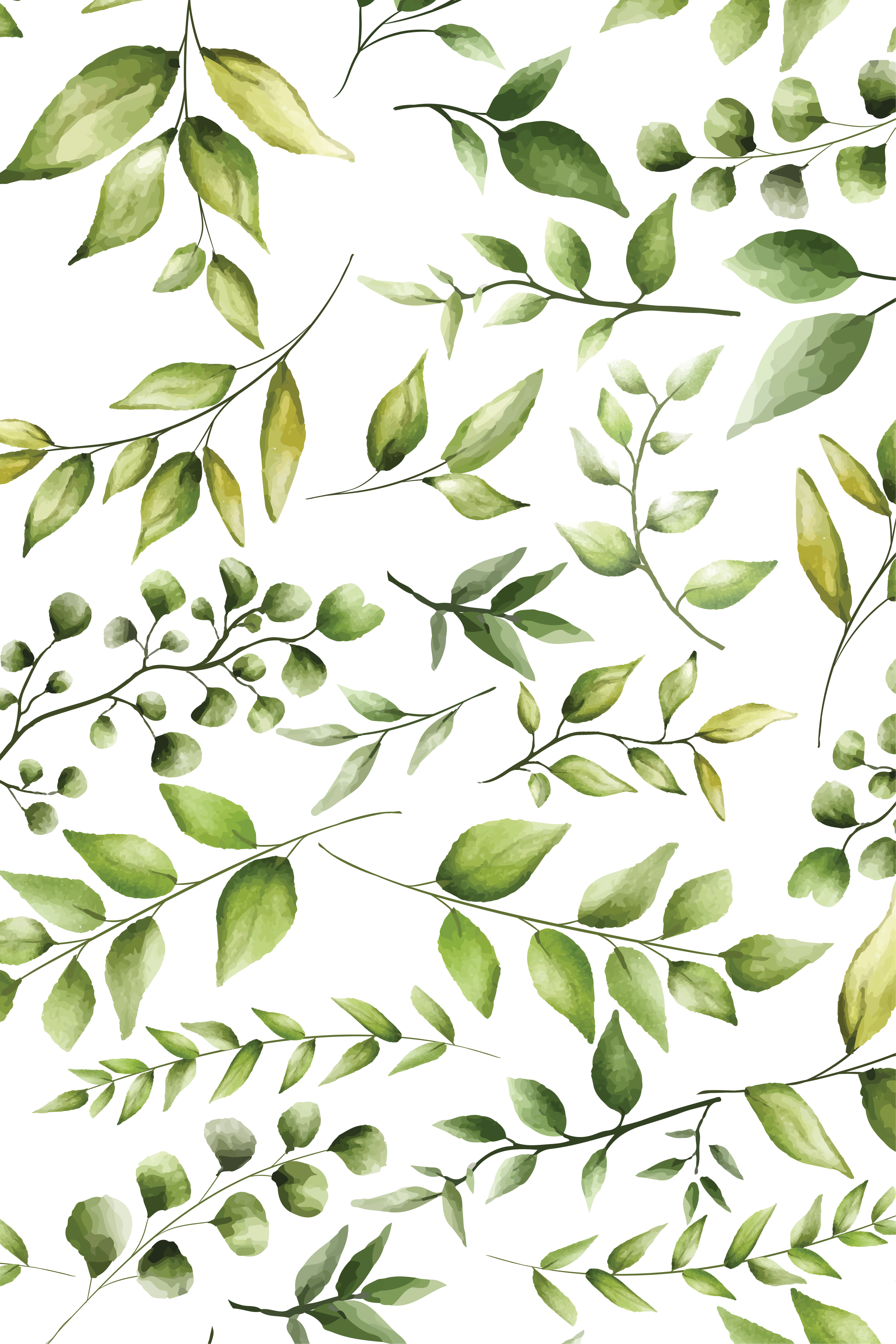 Poster de plantas folhas de eucalipto em aquarela - TenStickers