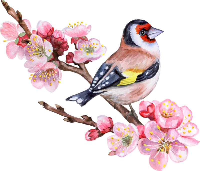 Poster de árvores com ramos de primavera e pássaros - TenStickers