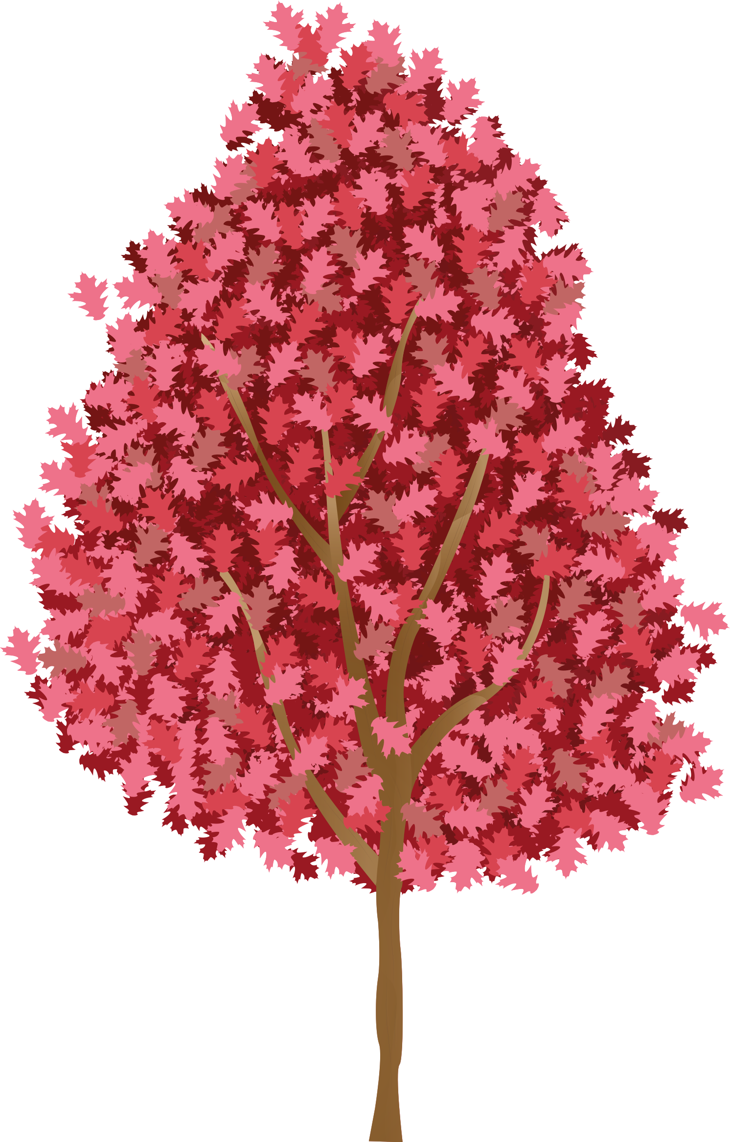Poster de árvores com flores rosas - TenStickers