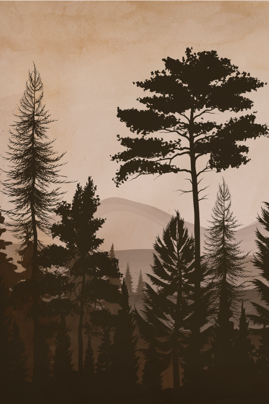 Poster de árvores floresta colorida em estilo escandinavo - TenStickers