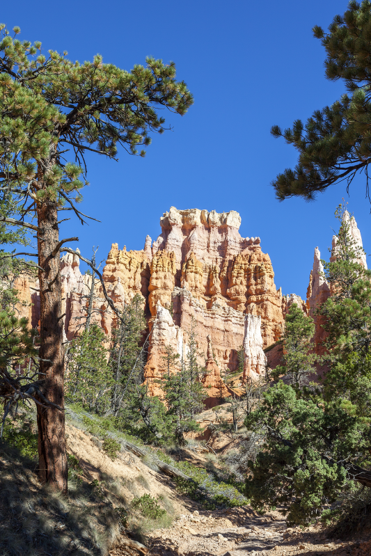 Poster de paisagens do canyon de bryce - TenStickers