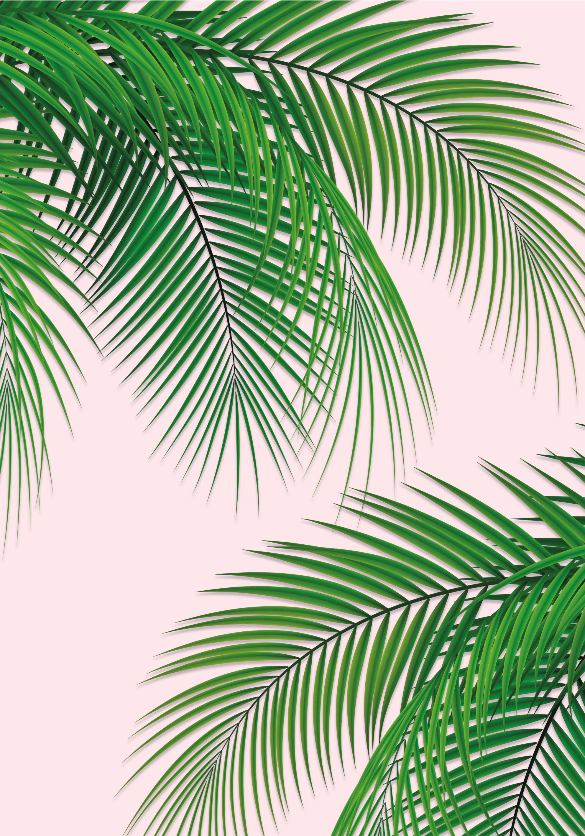 Poster de árvores folha tropical - TenStickers