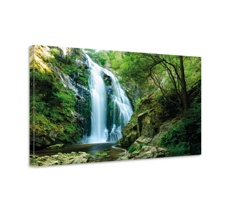 Quadro de árvores Cachoeira na floresta - TenStickers